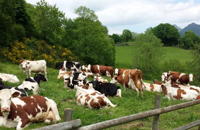 Gite Mandailles-Saint-Julien, 4 bedrooms, 8 persons