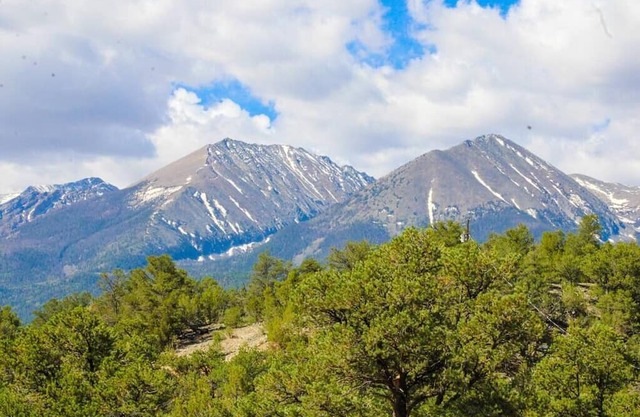 RT Lodge Room 3: Dogs Stay Free