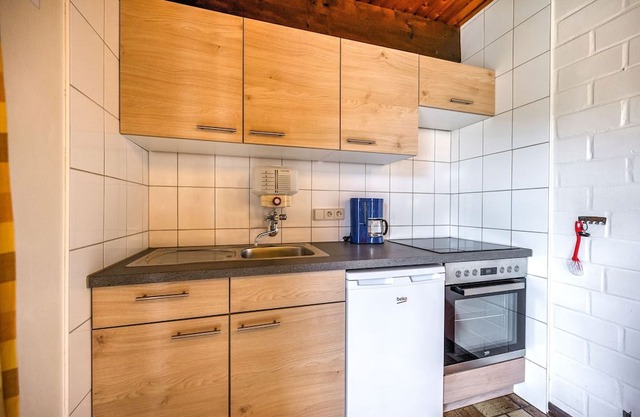 Spacious apartment with private terrace