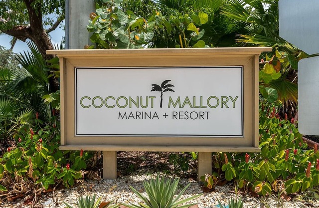 KEY WEST HIDDEN GEM! This studio is available for Fantasy Fest 2024!