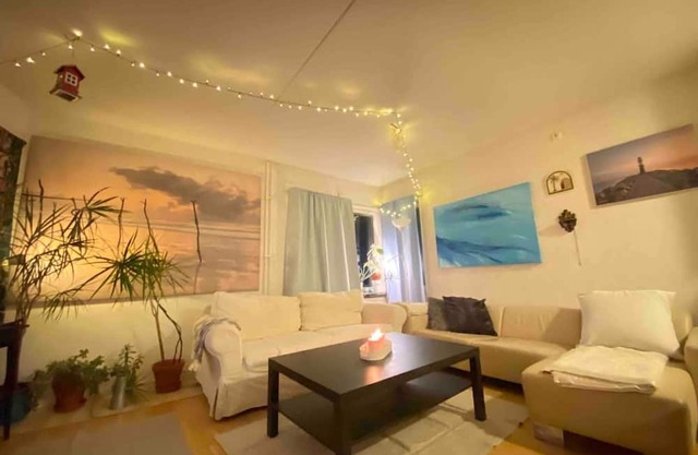 Luxurious Apartment 10 min From City