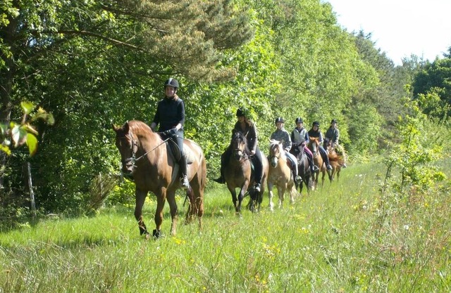 Ferienwohnung 3 mit 2 Schlafzimmern in Ruhiger Idyllischer Lage, Nordseenähe