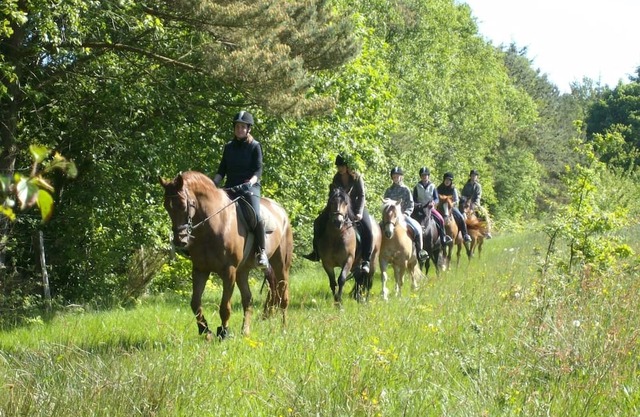 Wohnung 4 auf dem Ferienhof Eilts -viele Ponys und Sonstige Tiere in Nordseenähe