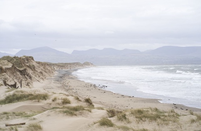 Swan (Alarch) - a glan morfa lodge that sleeps 6 guests in 3 bedrooms