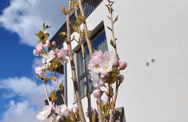 Wohnung Leona mit Südseitigem Balkon - Aenna Apart