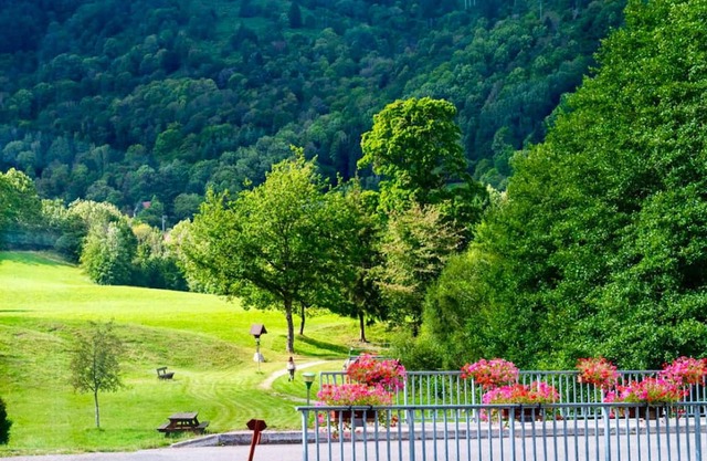 Homerez - Nice apartement for 4 ppl. with terrace at Mittlach