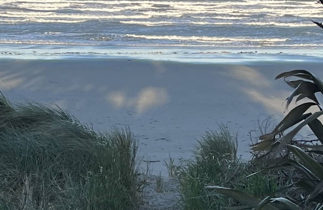 Beachside Gem - Your Cosy Parapara Retreat