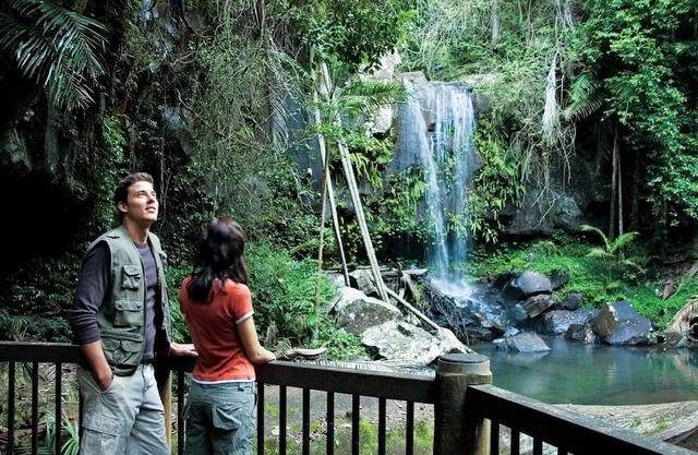 Relaxing Mountain Escape / Tamborine Mountain