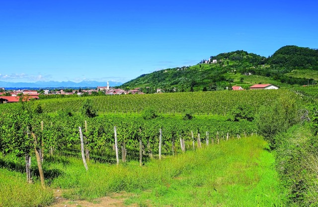 Look out from the balcony, like princesses