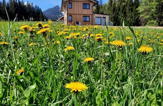 Hus 154 - Holiday home, shower or bath, WC, 3 bedrooms