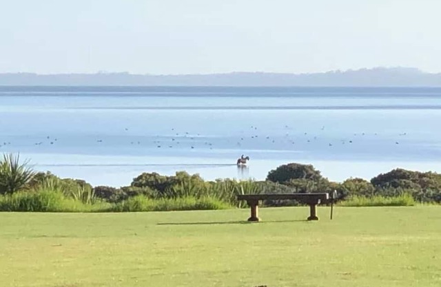 Black Swan Retreat: Lifestyle Charm on a Budget