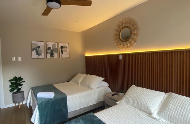 New and Elegant Suite in the best location 5 min from Buenavista and Viva