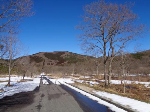 Premium Guest House Alaskan Dream