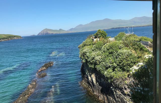 Ballyferriter Other | Bird Nest on the sea- Dingle Peninsula