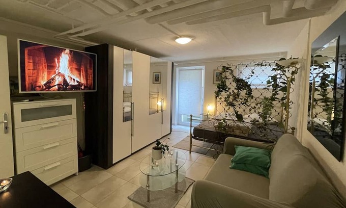 Basel City Centre Condo | Cozy Place Whit Fast Wifi 3 min From Rhine