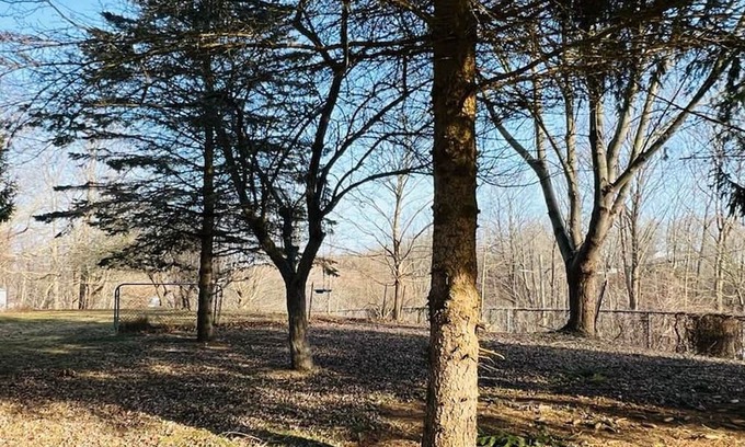 Central Elgin Cottage | Tranquil Coastal Escape - Minutes to the Beach!