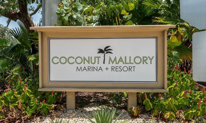 New Town Resort | KEY WEST HIDDEN GEM! This studio is available for Fantasy Fest 2024!