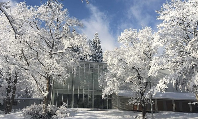 Shinano Cottage | Stay without meals Lodge B type with mini kitchen / Kamiminochigun Nagano