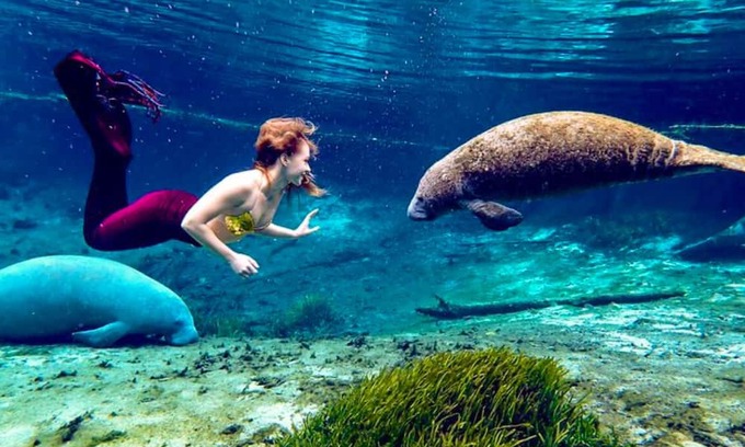 Spring Hill House | Weeki Wachee Crystal blue Springs river house with Kayaks