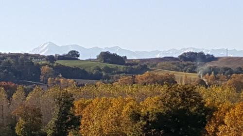 Marciac Ski Chalet | Le maison sur la colline