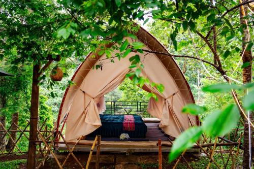 Kon Plong Cabin | Khu Gghỉ Dưỡng glamping Pa Sỹ 3