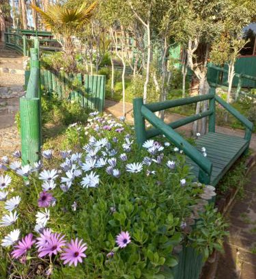 Cartagena Resort | Palo Verde