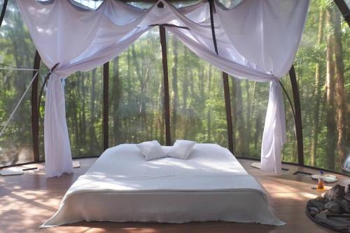 Tapirai Other | Cúpula suspensa na mata atlântica!