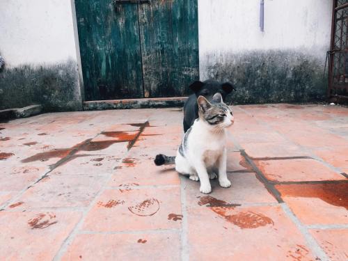 Viet Yen House | Quán Bà Tám